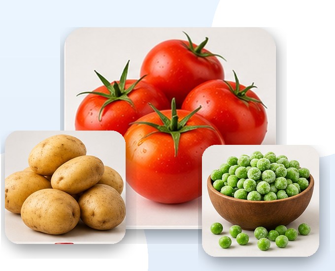 Fresh Vegetables
