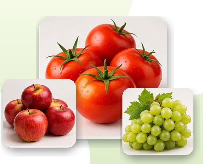 Fruits & Vegetables