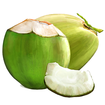 Tender Coconut - Medium, 1 pc